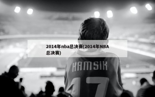 2014年nba总决赛(2014年NBA总决赛)