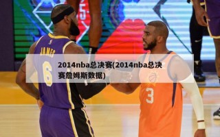 2014nba总决赛(2014nba总决赛詹姆斯数据)