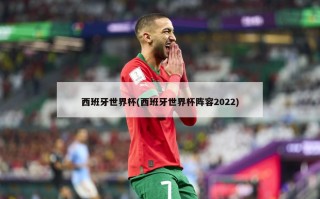 西班牙世界杯(西班牙世界杯阵容2022)