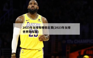 2023年女排有哪些比赛(2023年女排世界锦标赛)